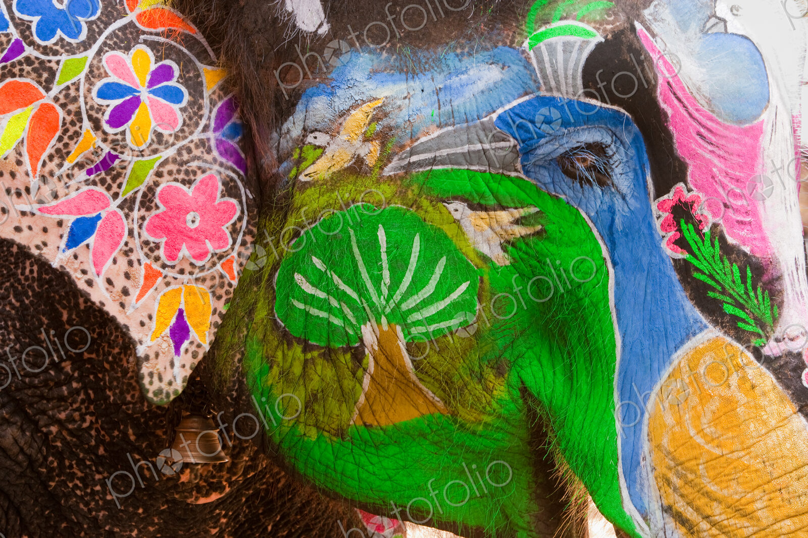 Elaborately adorned elephants during Holi, the Hindu festival of colors, in Jaipur,…