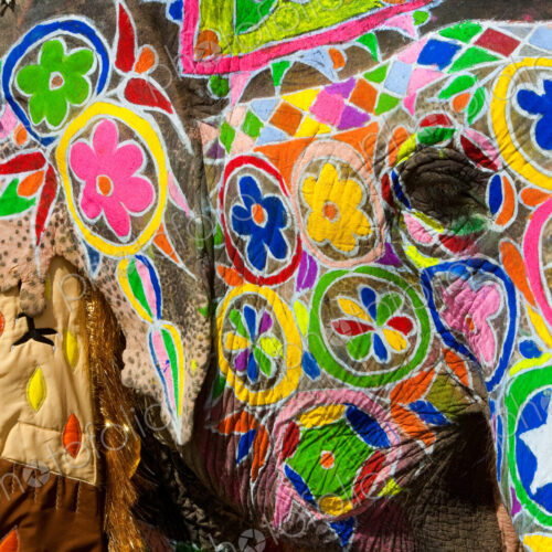 Elaborately adorned elephants during Holi, the Hindu festival of colors, in Jaipur,…