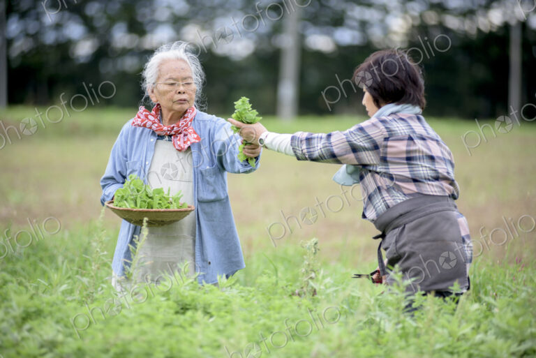 Elderly woman with grey hair and woman wearing checkered shirt standing in a garden,…