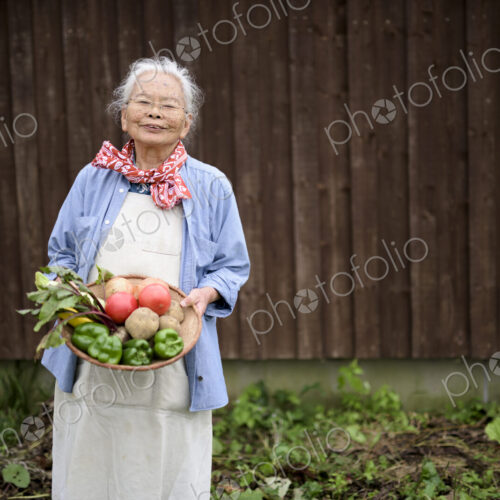 Elderly woman with grey hair standing in a garden, holding a basket with fresh…