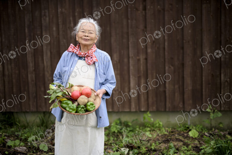 Elderly woman with grey hair standing in a garden, holding a basket with fresh…