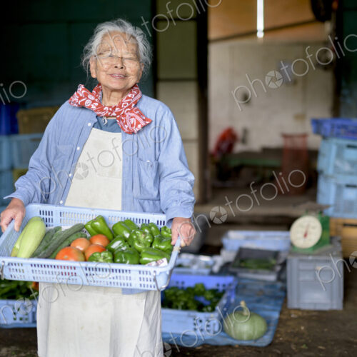 Elderly woman with grey hair standing in front of barn, holding blue plastic crate…