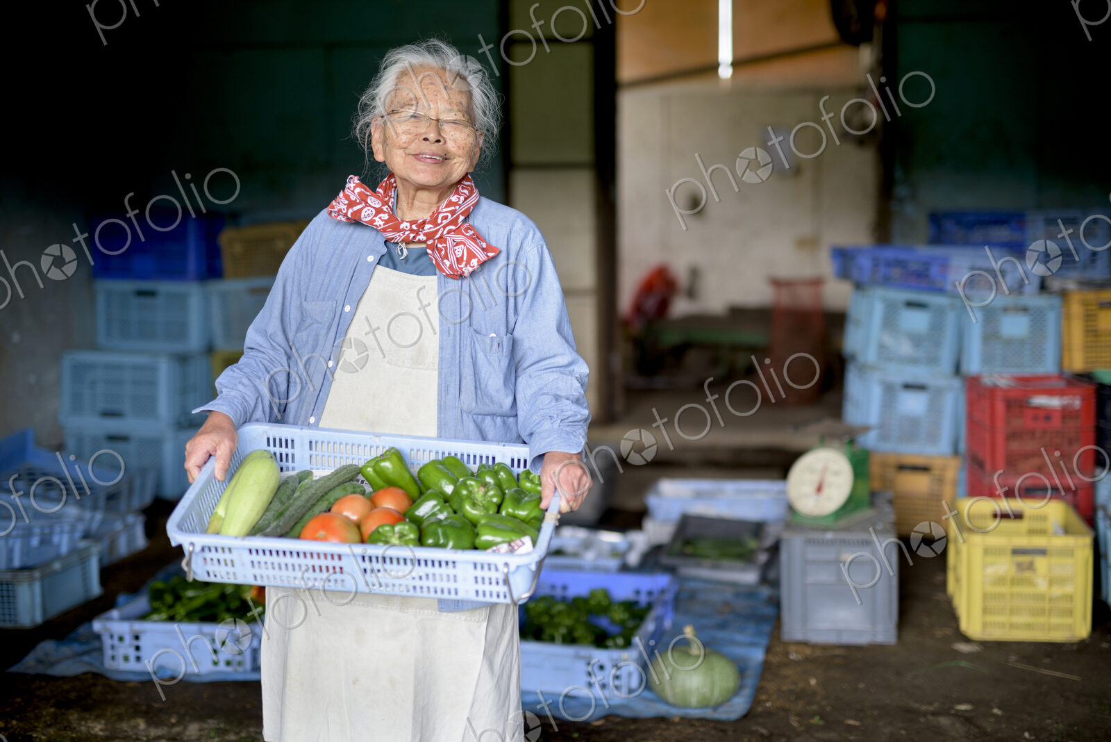 Elderly woman with grey hair standing in front of barn, holding blue plastic crate…