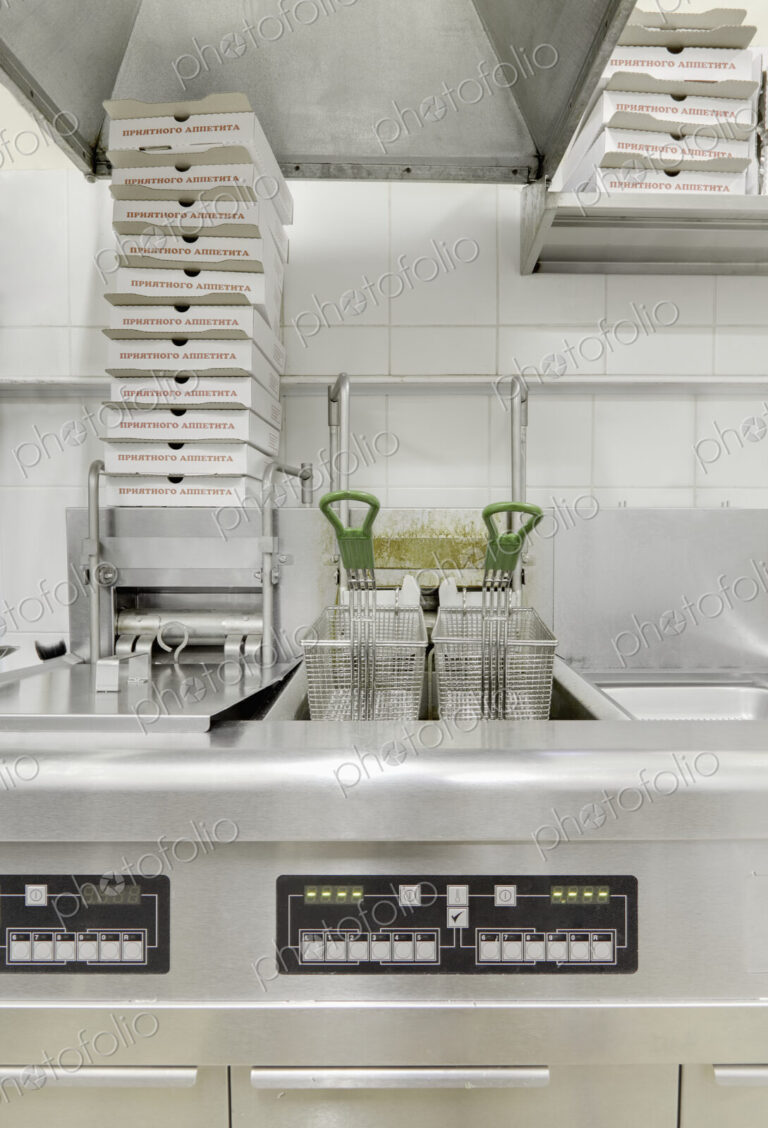 Electric Deep Fryer