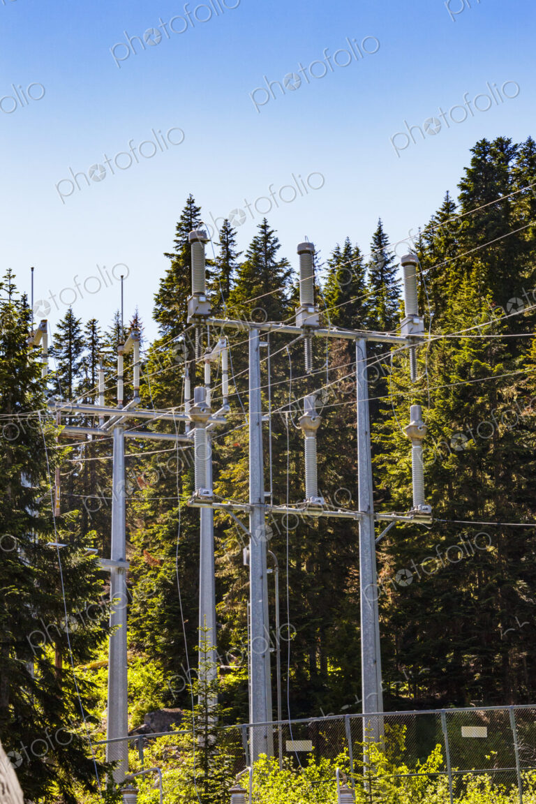 Electrical power lines on pylons running through trees.