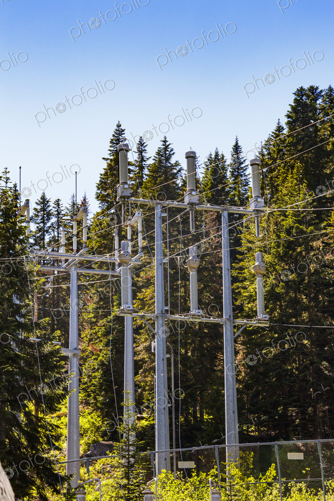 Electrical power lines on pylons running through trees.