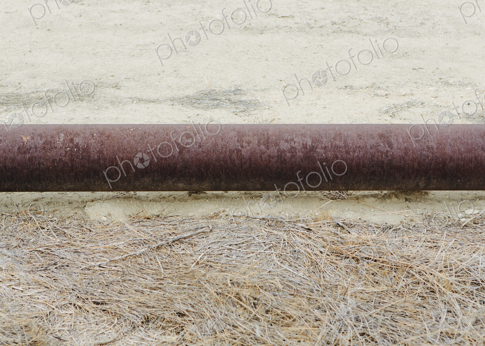Elevated oil pipeline in the Midway-Sunset oil fields, the largest shale oil field in…