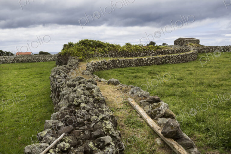 Elevated walkway between rural fields