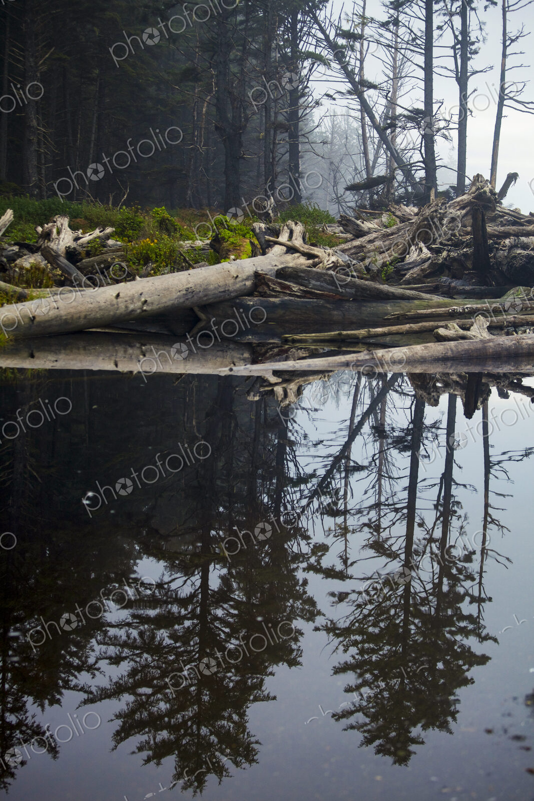 Ellen Creek, Rialto Beach, Olympic National Park, mirror reflections on the water surface.