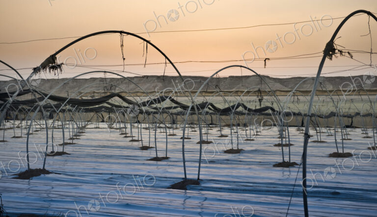Empty Greenhouse in the Desert