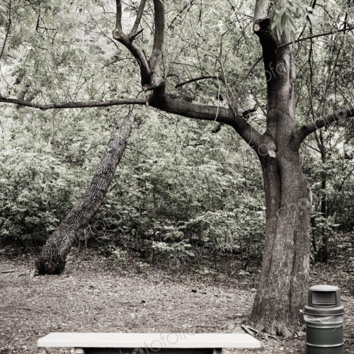 Empty Picnic Area Empty Picnic Area
