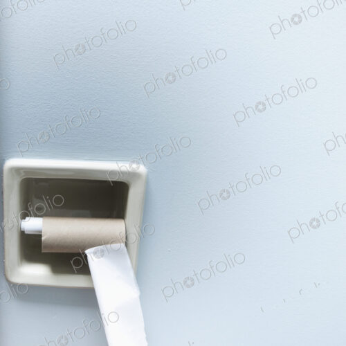 Empty Roll of Toilet Paper