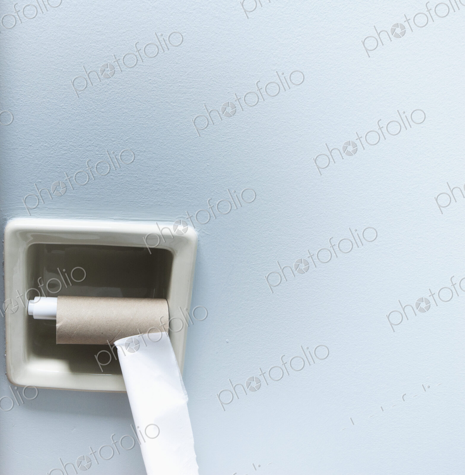 Empty Roll of Toilet Paper