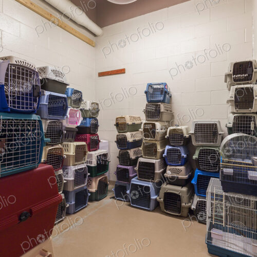 Empty pet crates stacked in room in animal shelter Empty pet crates stacked in room in animal shelter
