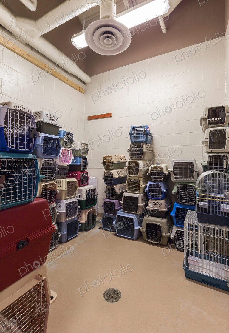 Empty pet crates stacked in room in animal shelter