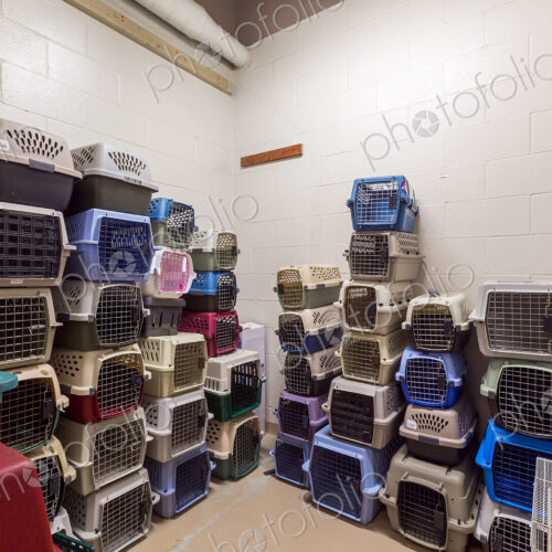 Empty pet crates stacked in room in animal shelter Empty pet crates stacked in room in animal shelter