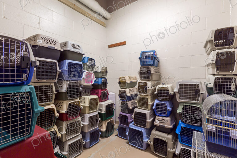 Empty pet crates stacked in room in animal shelter