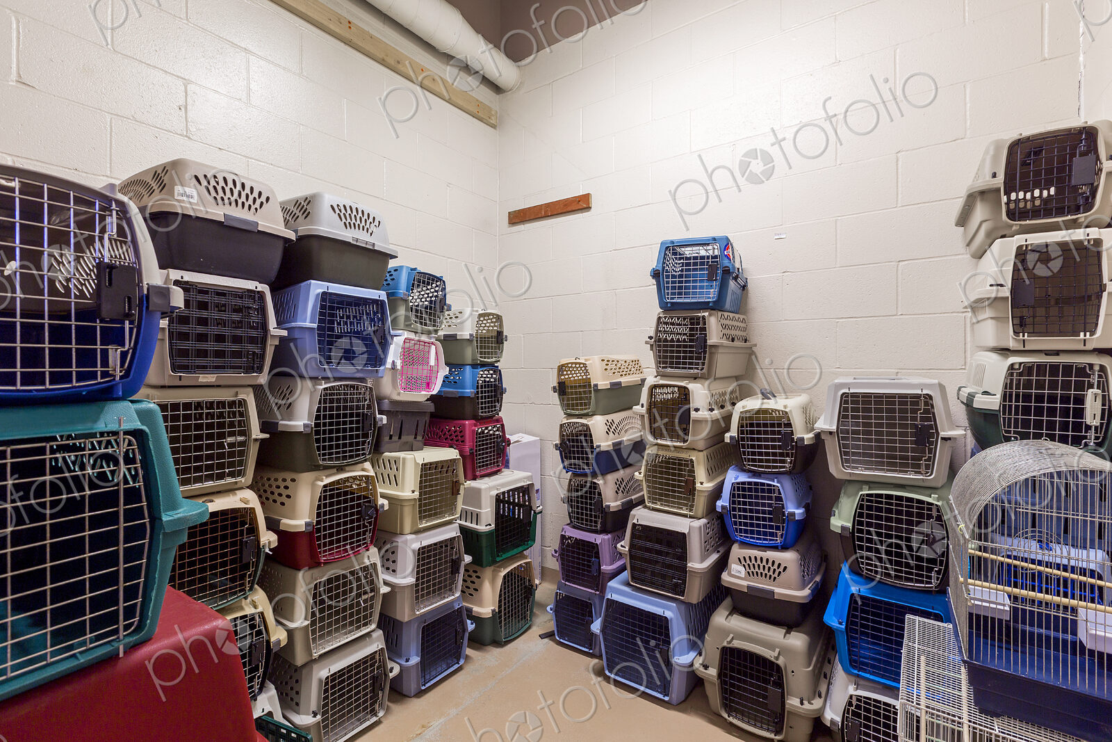 Empty pet crates stacked in room in animal shelter