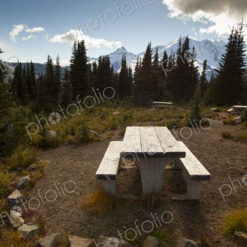 Empty picnic benches in a woodland clearing, Mount Rainier National Park. Empty picnic benches in a woodland clearing, Mount Rainier National Park.