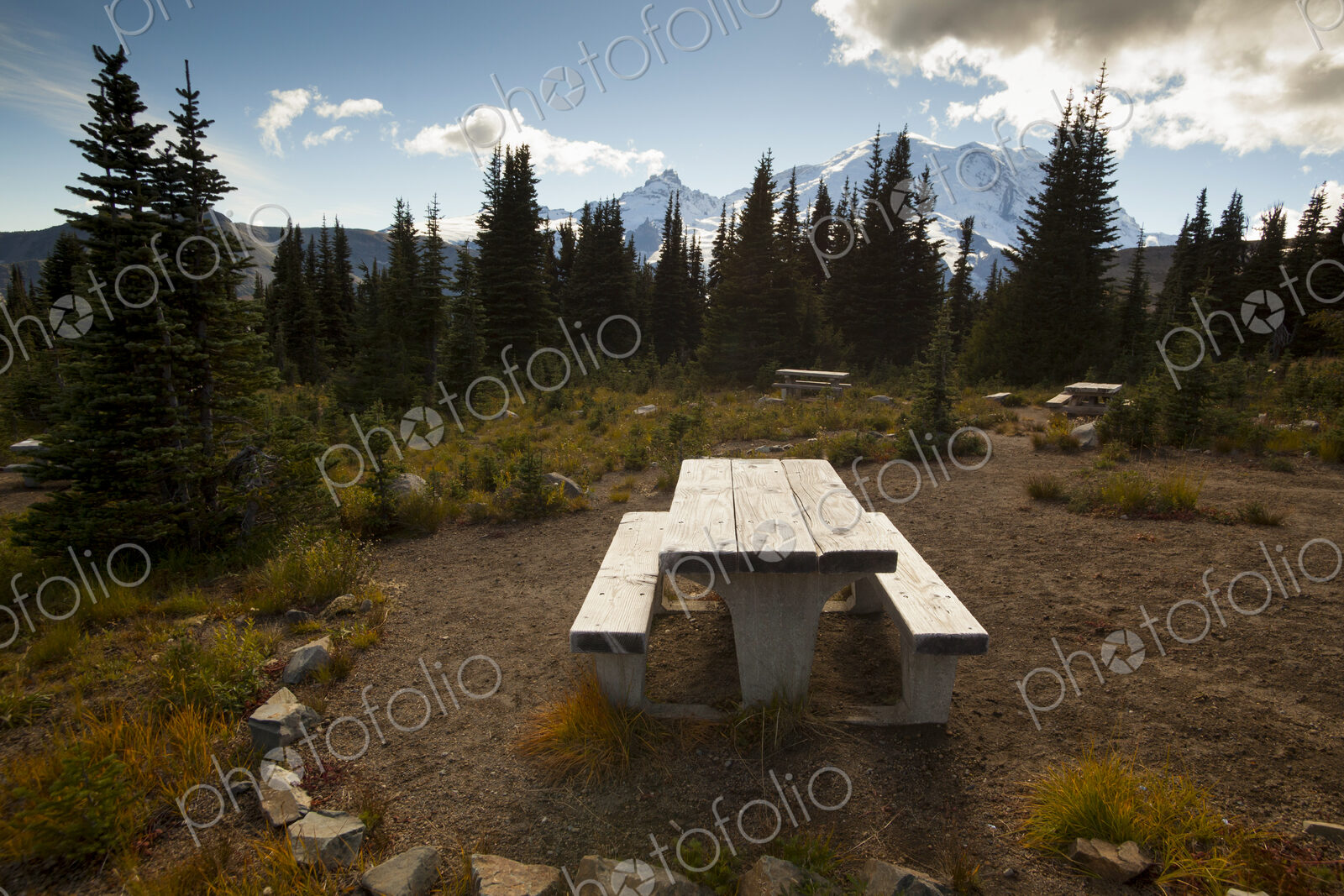 Empty picnic benches in a woodland clearing, Mount Rainier National Park.