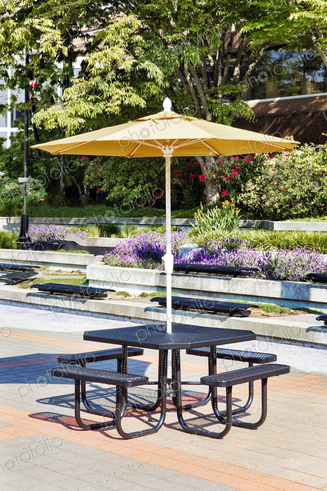 Empty picnic table in courtyard