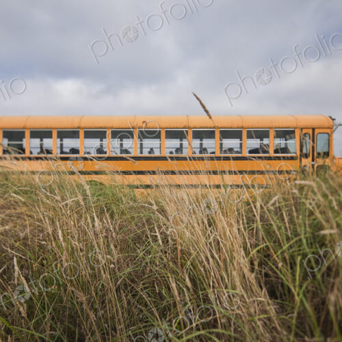 Empty school bus in grassland. Empty school bus in grassland.