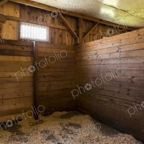 Empty stall in horse stable Empty stall in horse stable