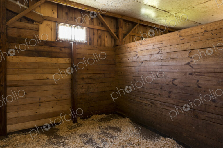 Empty stall in horse stable
