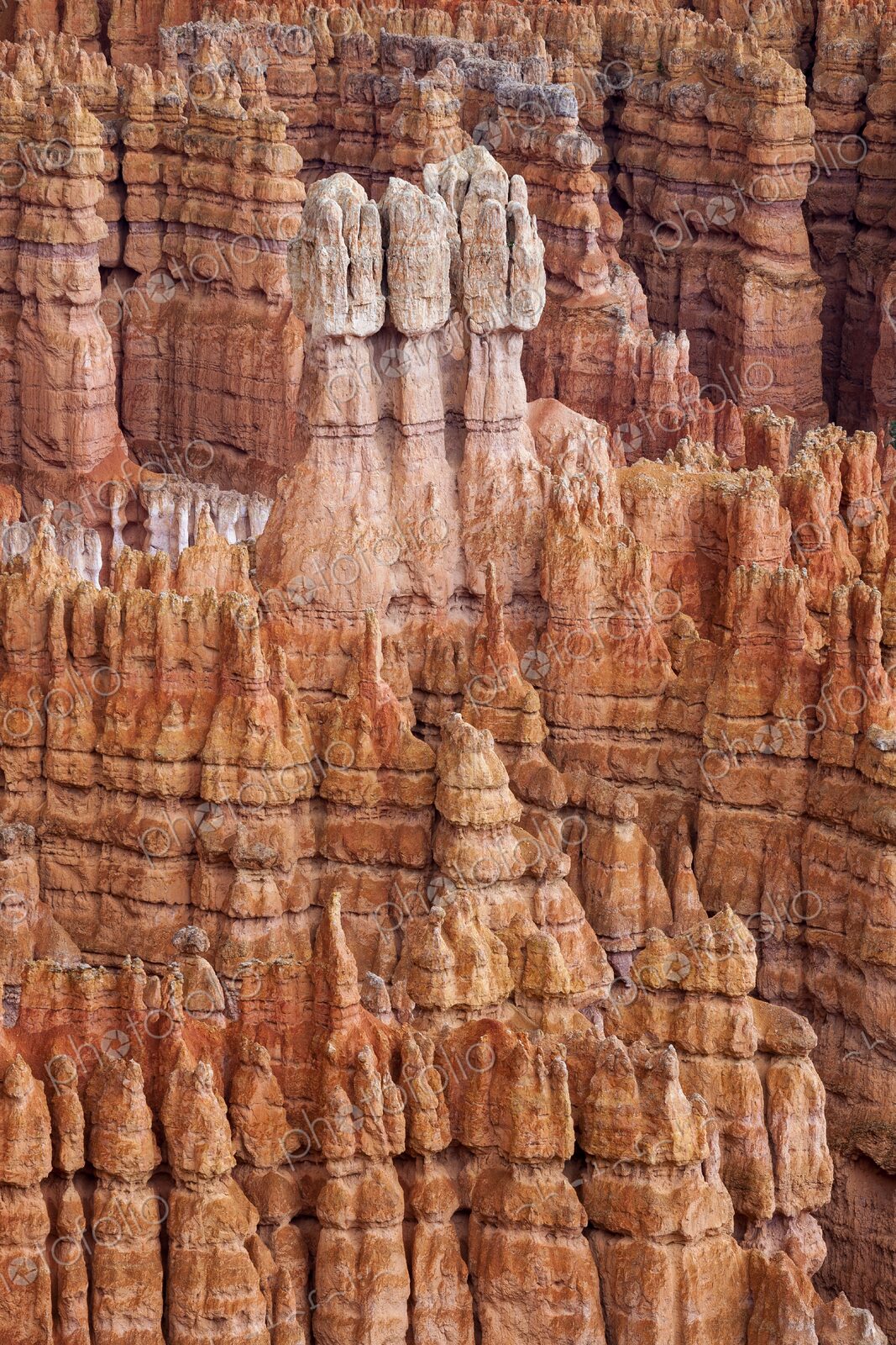 Eroded hoodoos in Bryce Canyon rise like ancient spires from the canyon floor,…