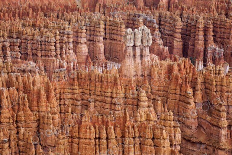 Eroded hoodoos in Bryce Canyon rise like ancient spires from the canyon floor,…