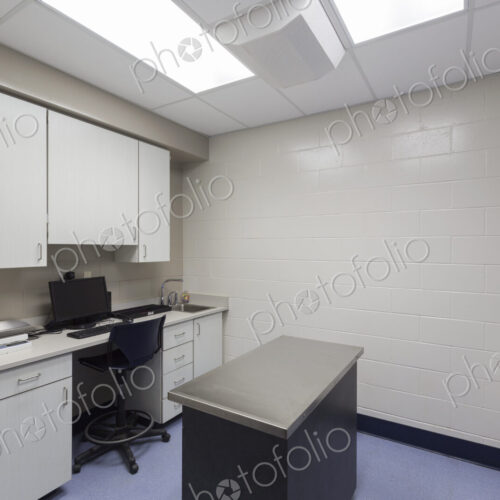 Examination table in animal hospital