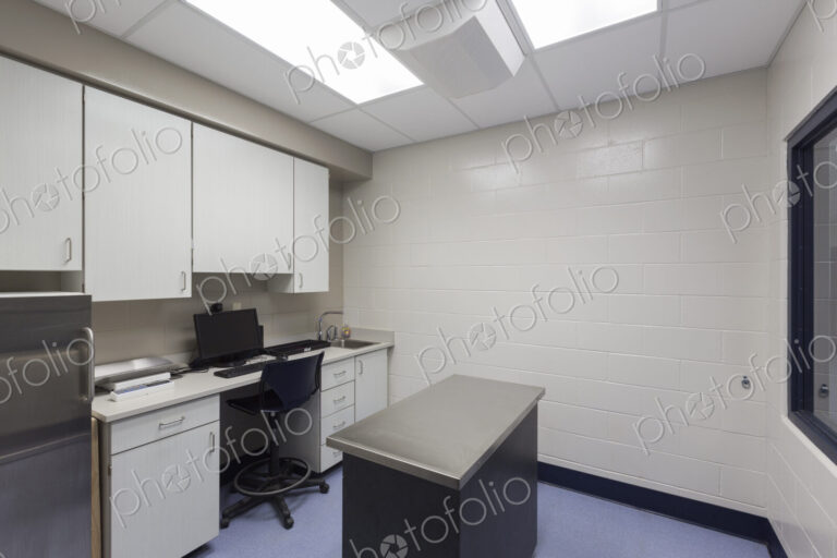 Examination table in animal hospital