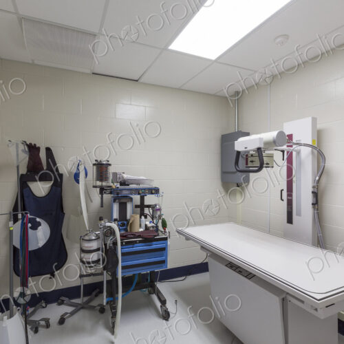 Examining table and x-ray equipment in animal hospital