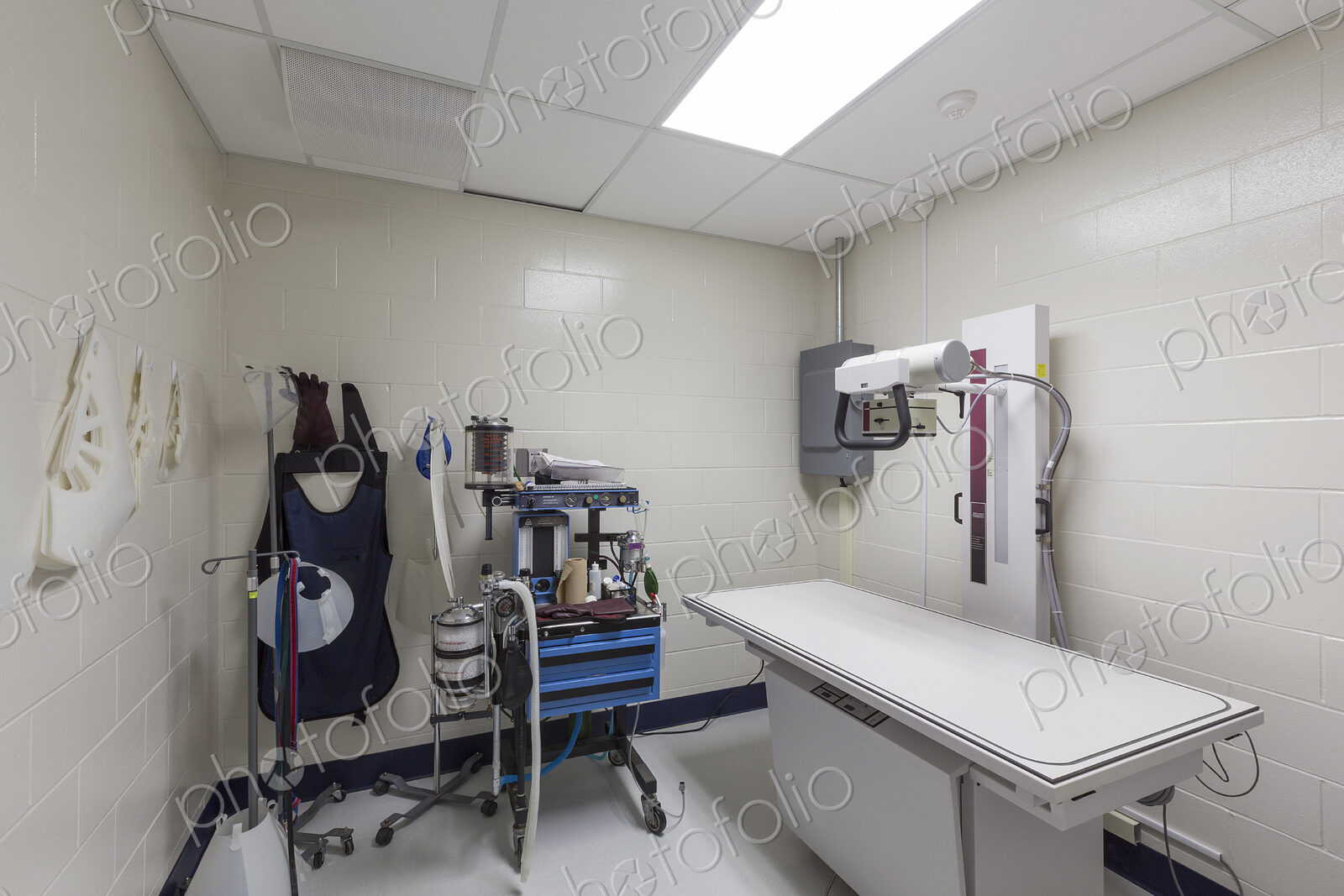 Examining table and x-ray equipment in animal hospital