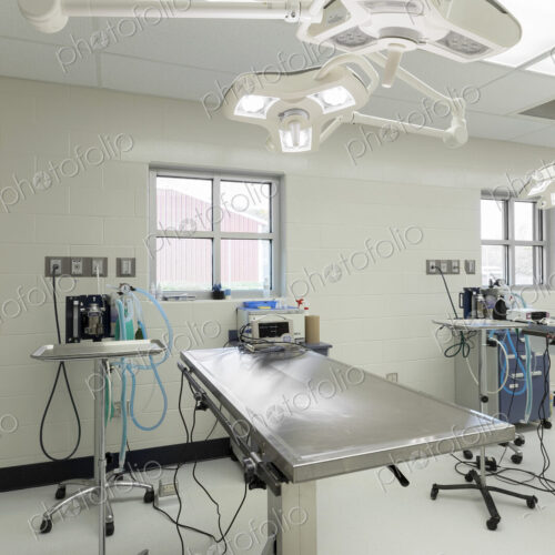 Examining table in empty animal hospital Examining table in empty animal hospital