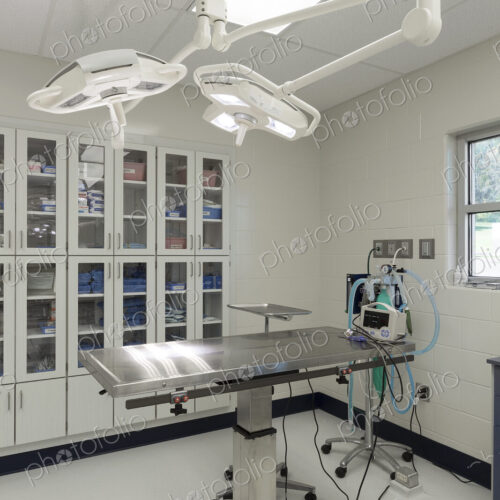 Examining table in empty animal hospital Examining table in empty animal hospital