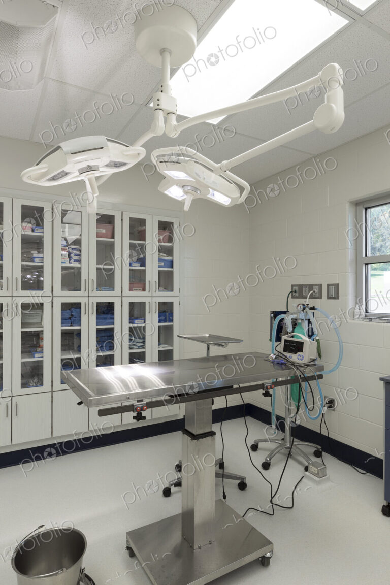 Examining table in empty animal hospital