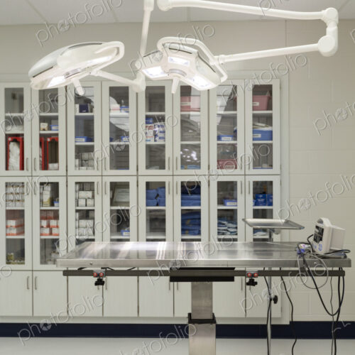 Examining table in empty animal hospital