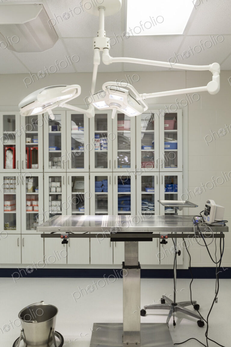 Examining table in empty animal hospital