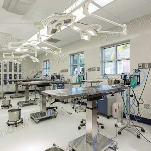 Examining tables in empty animal hospital
