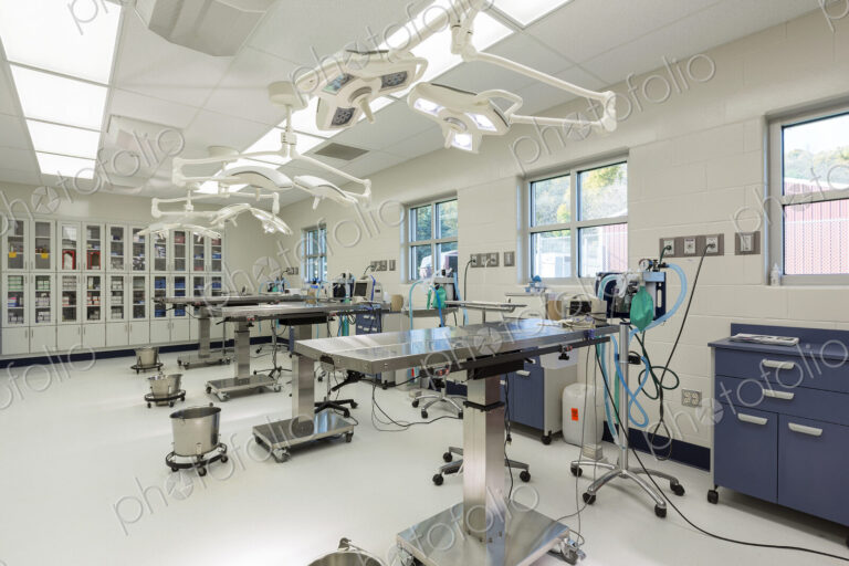 Examining tables in empty animal hospital