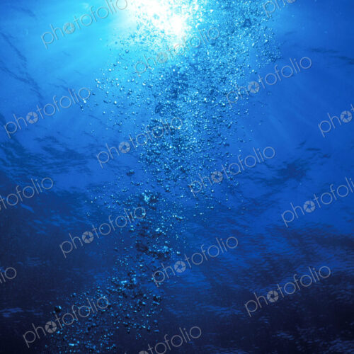 Exhaust bubbles rising to the surface Exhaust bubbles rising to the surface
