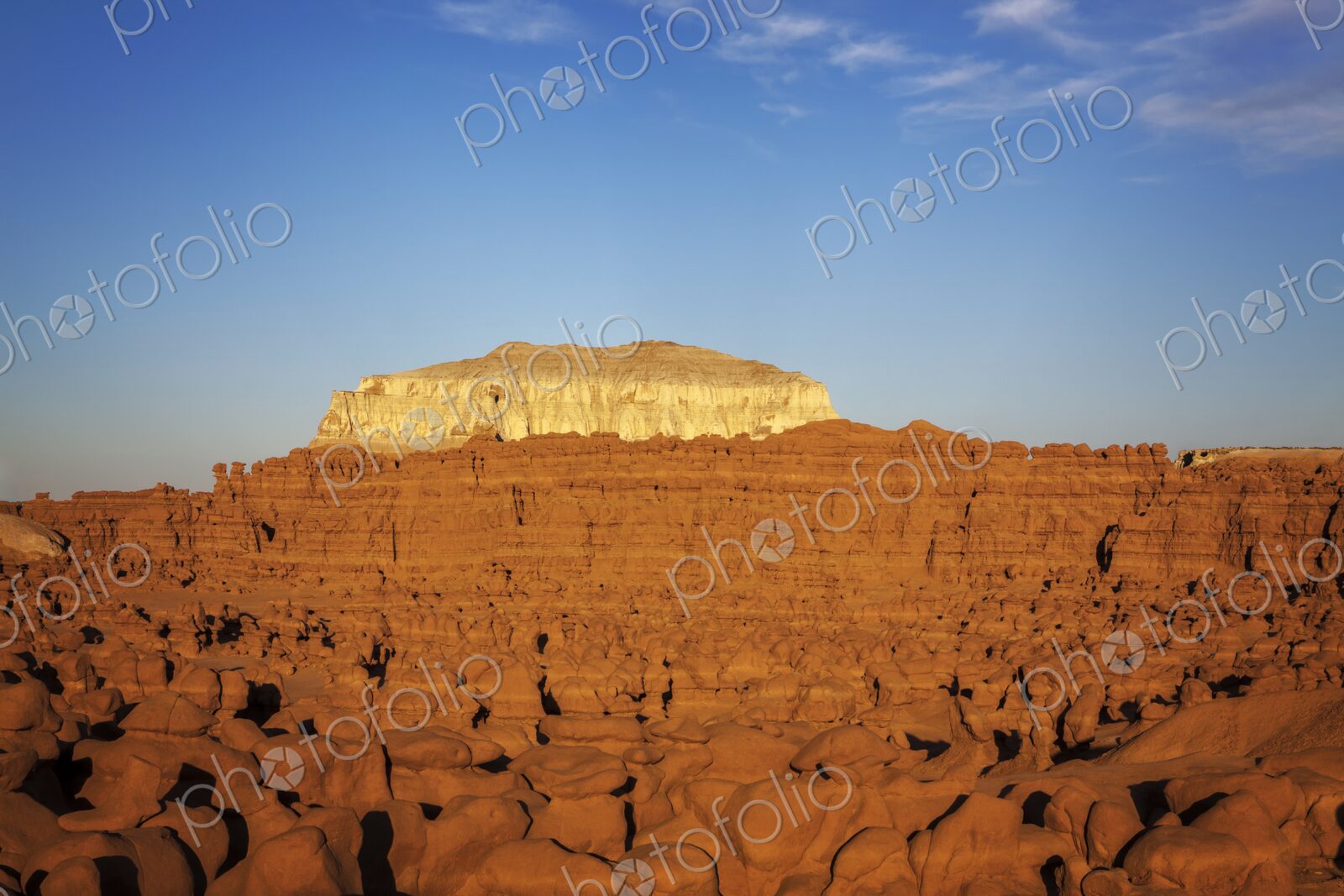 Expansive view of countless hoodoo rock formations under warm evening light, with a…
