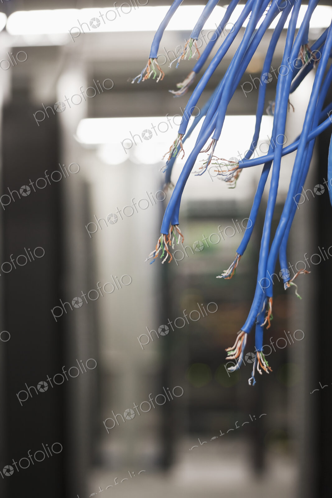 Exposed Ends of Blue Wire Bundles