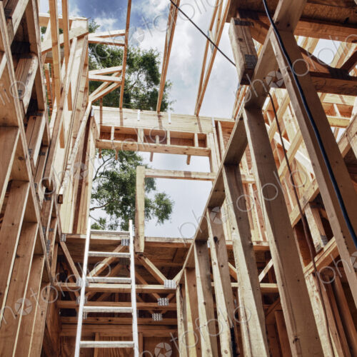 Extension Ladder and Framing