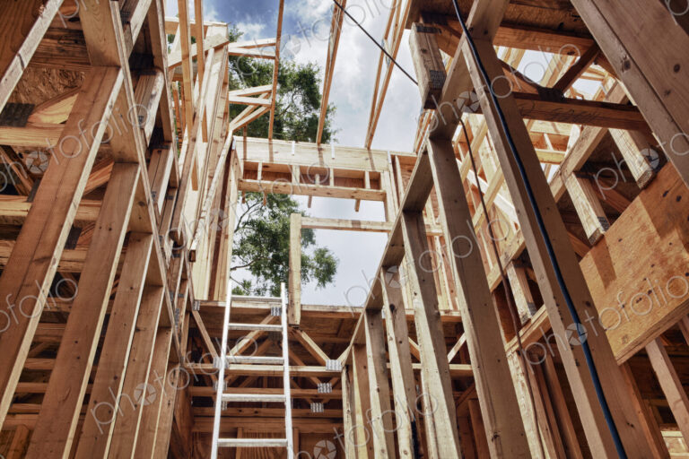Extension Ladder and Framing