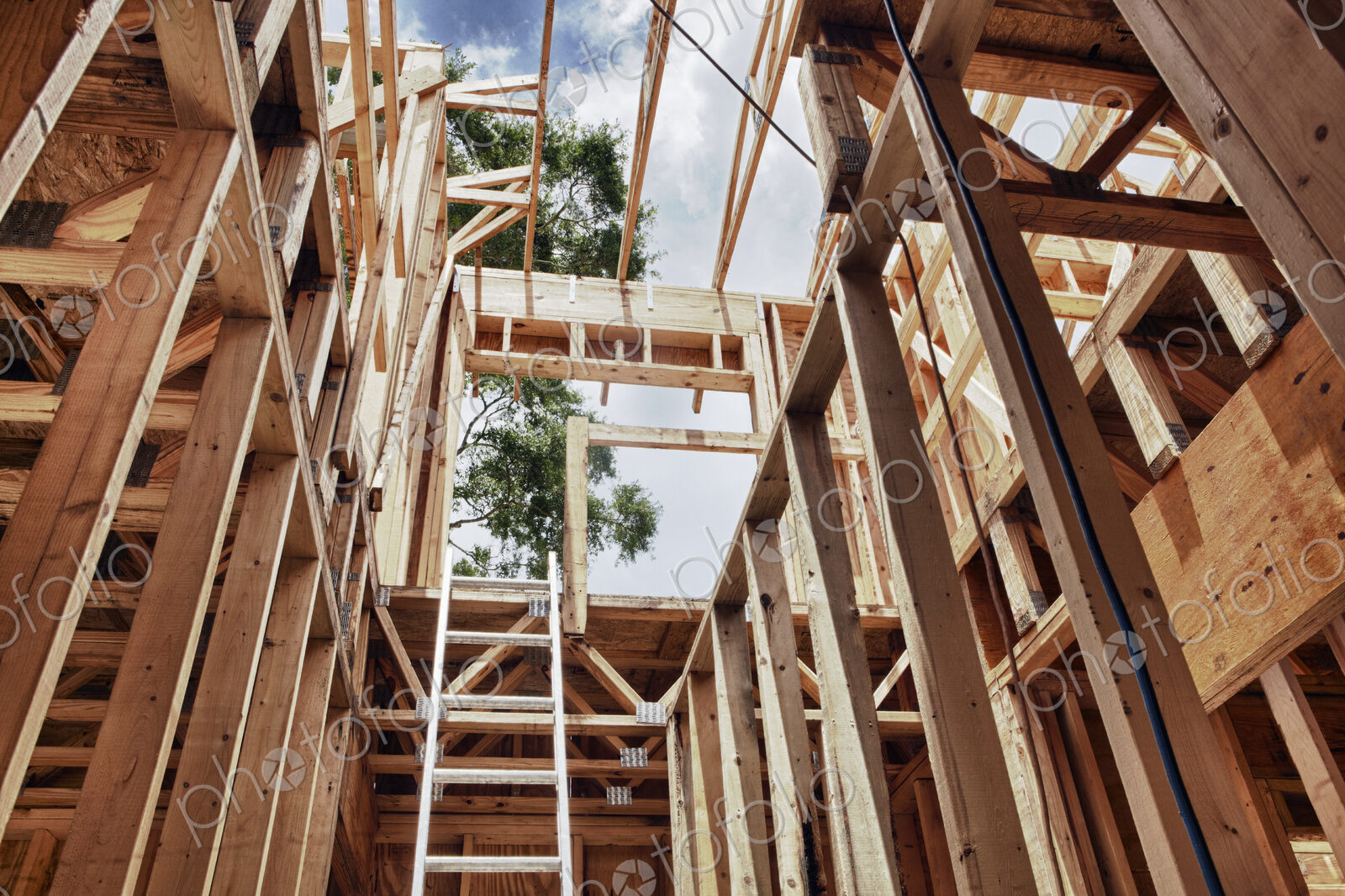 Extension Ladder and Framing