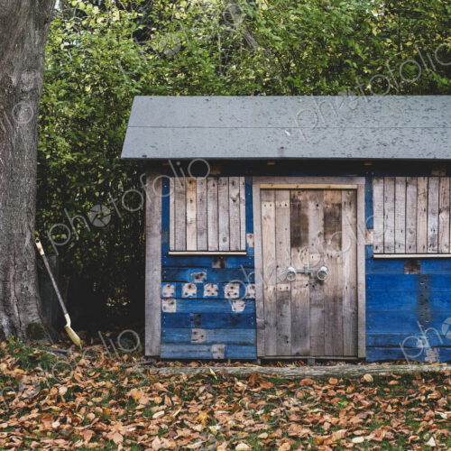 Exterior view of wooden shed with blue walls in garden, autumn leaves on lawn.