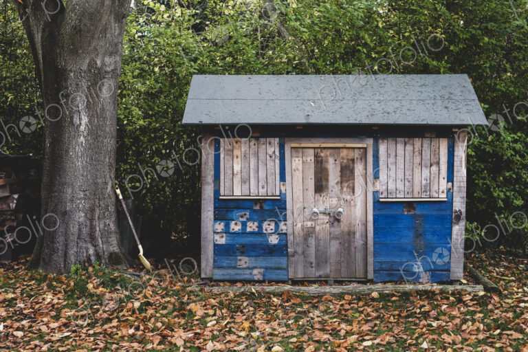 Exterior view of wooden shed with blue walls in garden, autumn leaves on lawn.