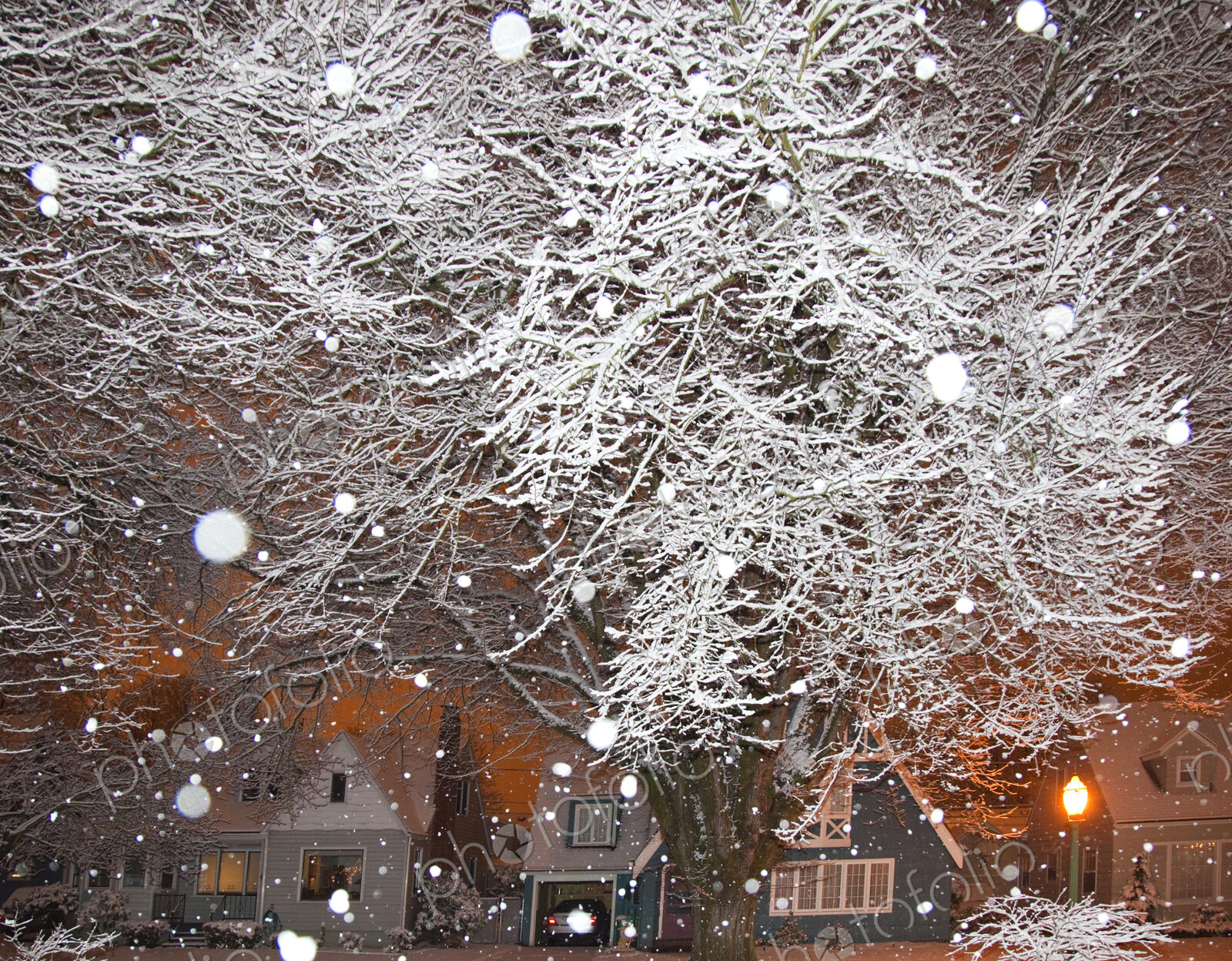 Falling Snow in a Neighborhood
